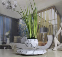 KIYOMING Floating Plant Pot Planter Suspension Air Bonsai Pot Flower Pot Levitating Plant Pot for Home Office