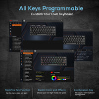RK ROYAL KLUDGE RK61 60% Mechanical Keyboard with Coiled Cable, 2.4Ghz/Bluetooth/Wired, Bluetooth 61 Keys, Wireless RGB Hot Swappable Brown Switch Gaming Mini Keyboard with Software - White